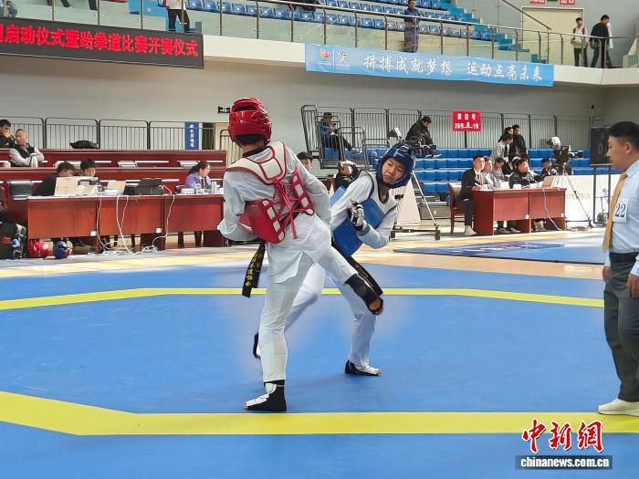 山西省第十七届运动会跆拳道赛圆满收官 331名选